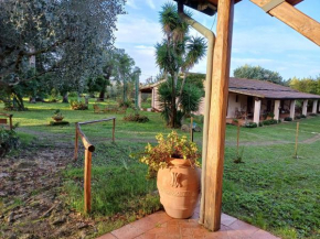 Agriturismo Bio Pian Dei Casali Saturnia